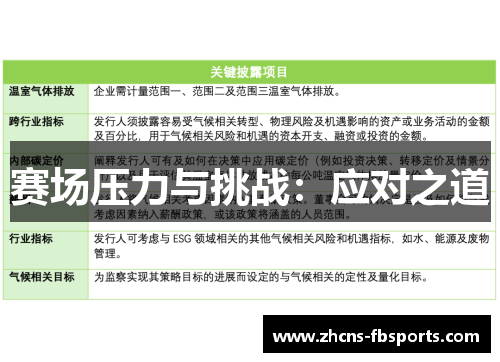 赛场压力与挑战：应对之道