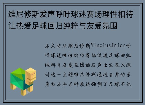 维尼修斯发声呼吁球迷赛场理性相待让热爱足球回归纯粹与友爱氛围