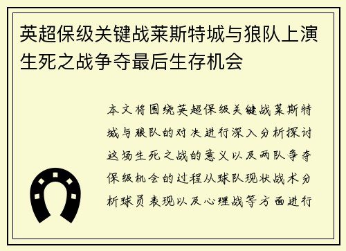 英超保级关键战莱斯特城与狼队上演生死之战争夺最后生存机会
